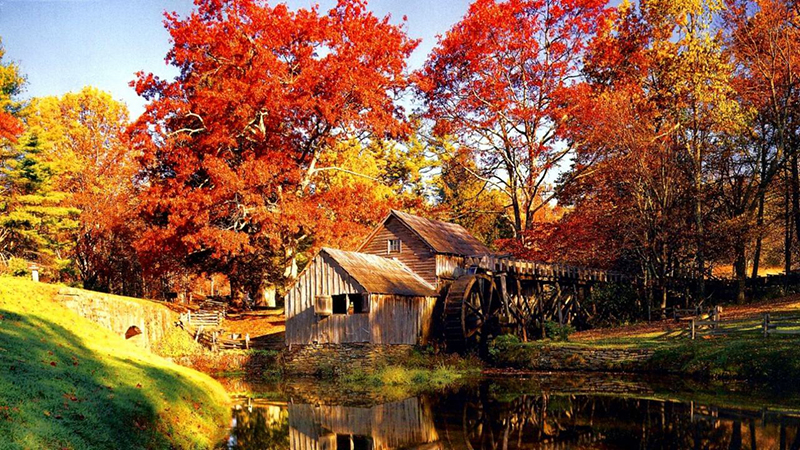 1571118048997863.jpg timg (4).jpg