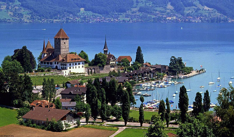 1579593409197989.jpg timg (10).jpg