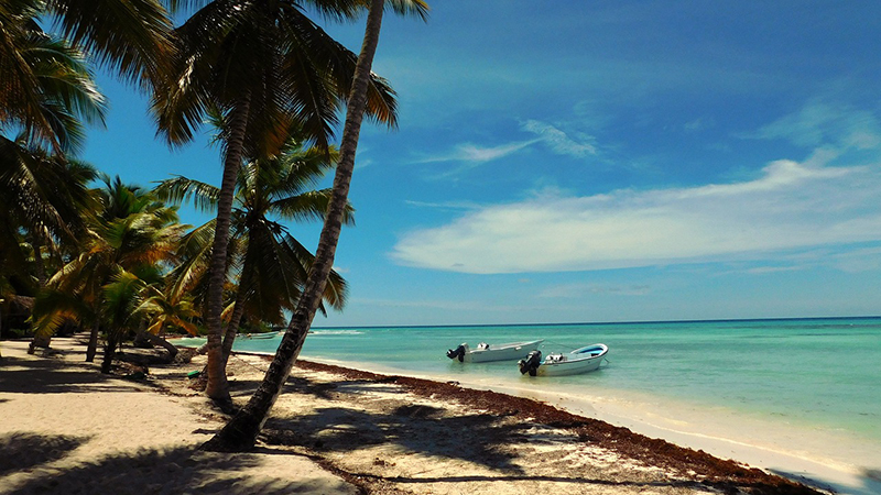 caribbean-1033906_1280.jpg