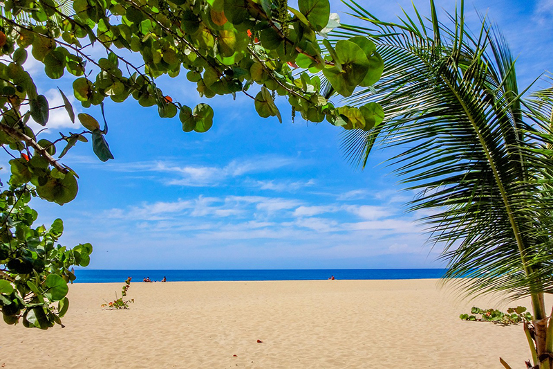 beach-2485882_1280.jpg